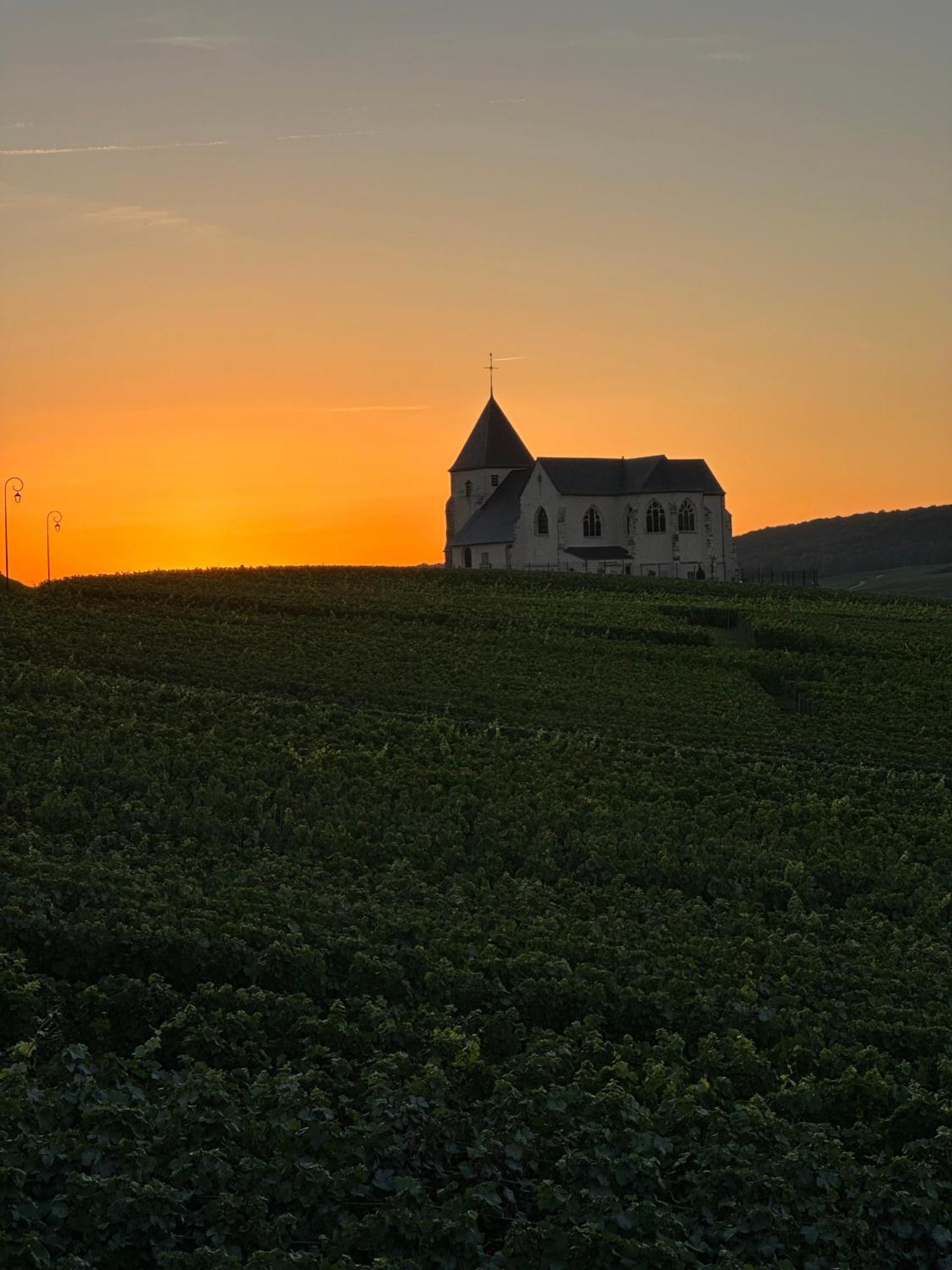Chavot-Courcourt Au Coeur Du Terroir Champenoisヴィラ エクステリア 写真